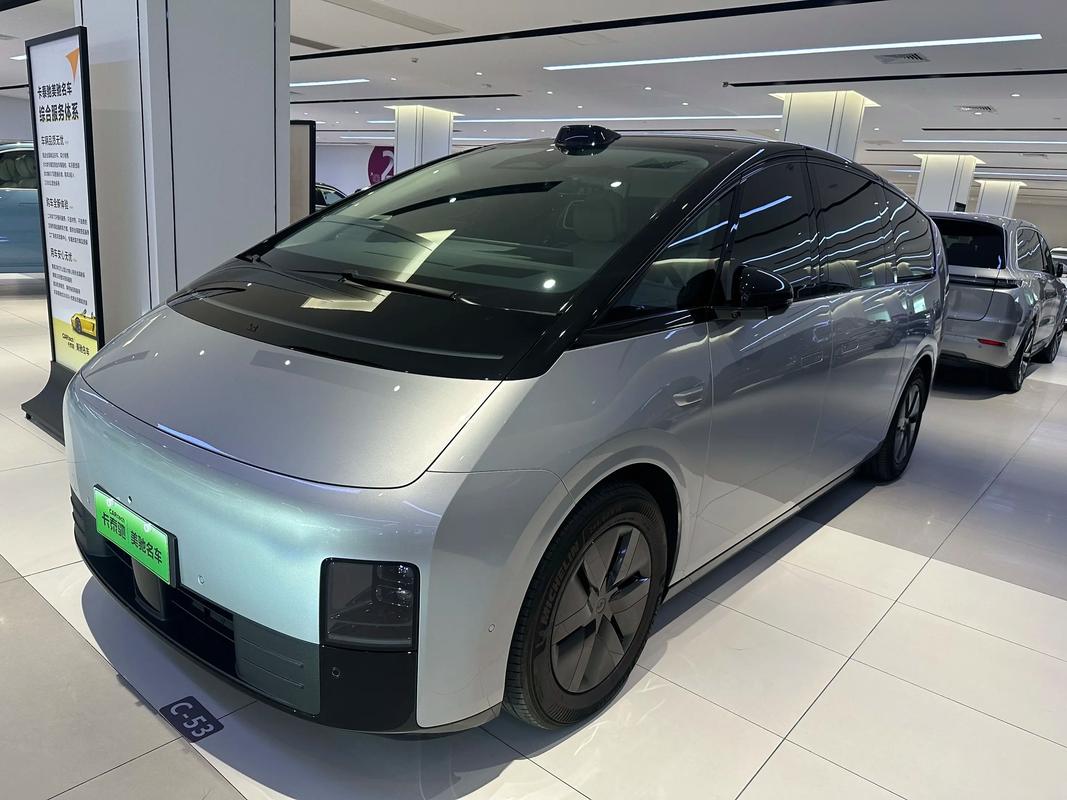 理想电动汽车(理想电动汽车2024款最新款价格)