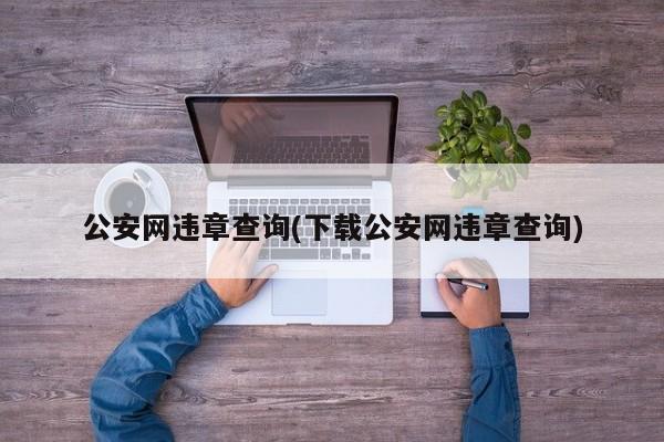 公安网违章查询(下载公安网违章查询)